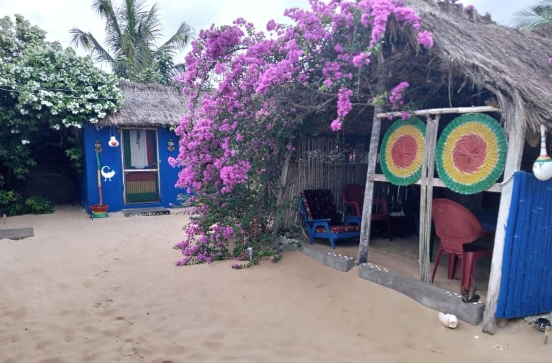 A&Y Wild Camp Ghana Keta エクステリア 写真