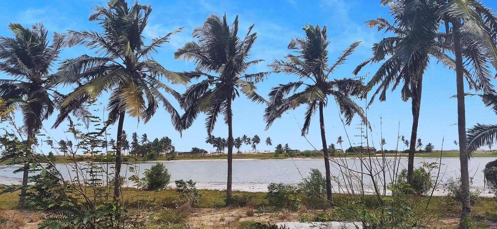 A&Y Wild Camp Ghana Keta エクステリア 写真